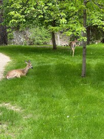 Out our front yard.