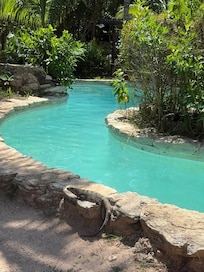 Pool with visitor