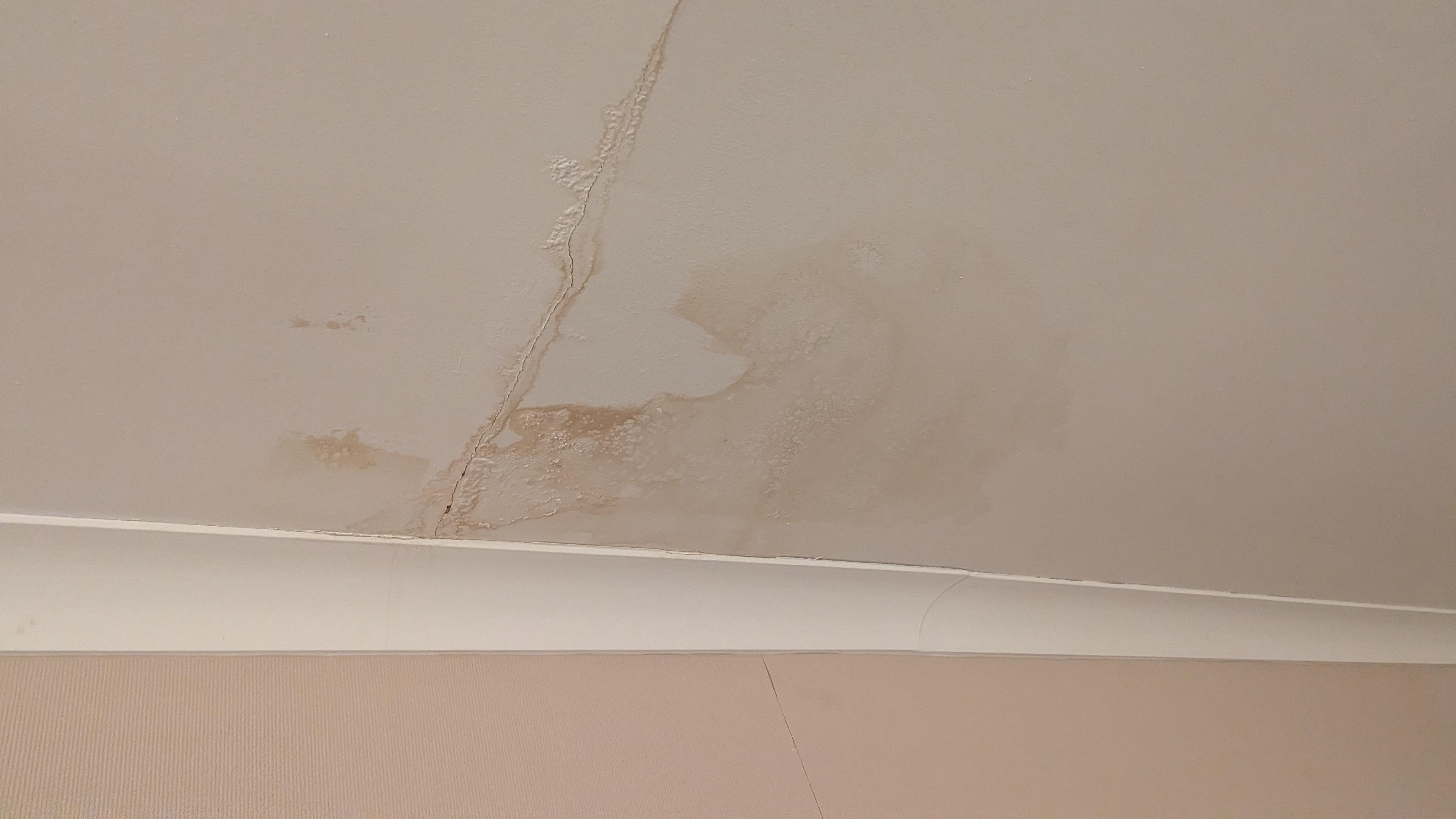 Damp stain on room ceiling 