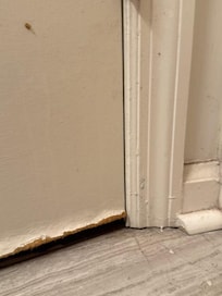 Bathroom door rotting on bottom, dirt on door. I regret not taking better or more pictures, its far worse than it looks