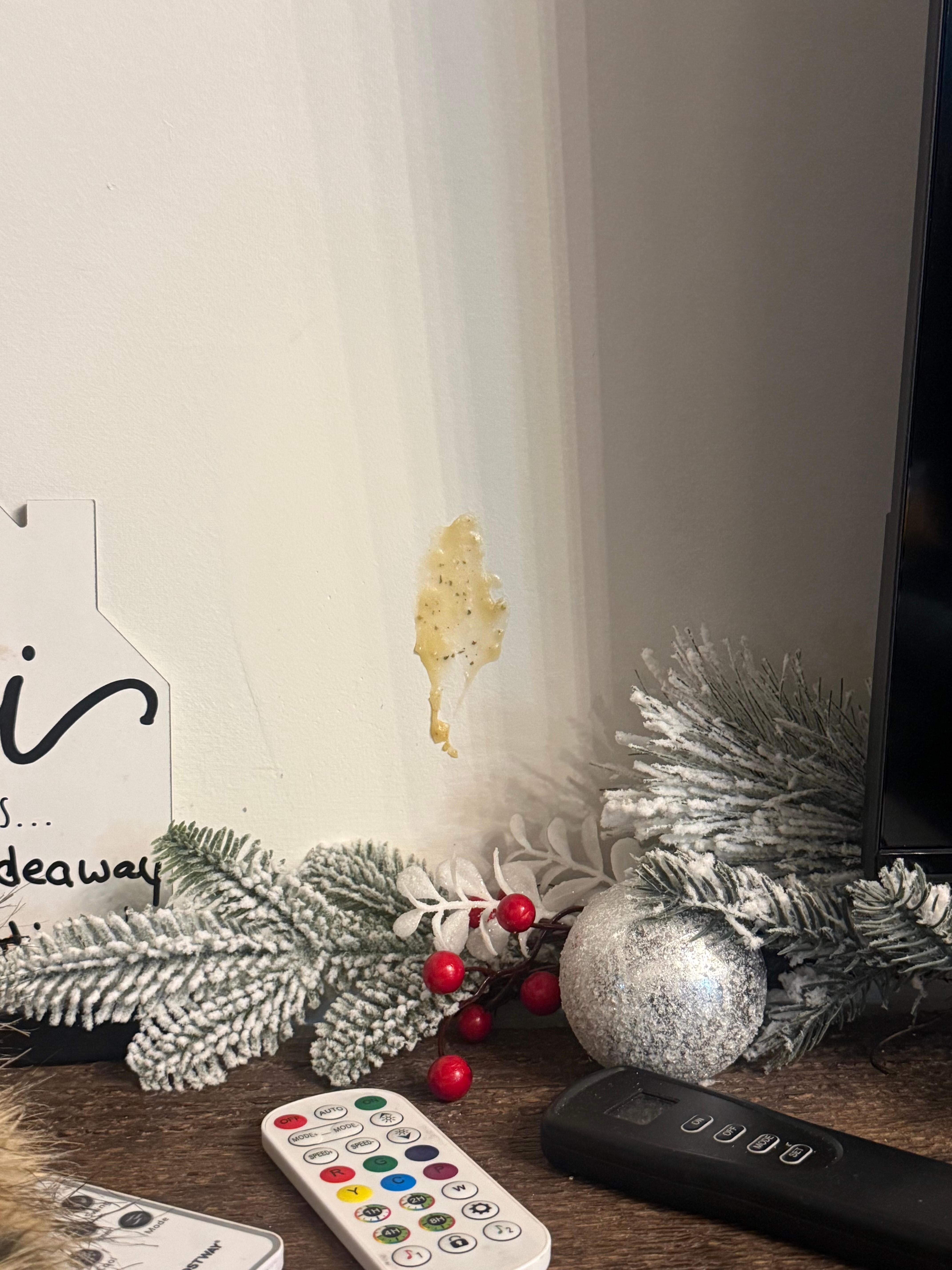 who knows what this is???