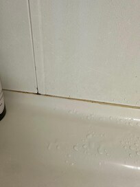 Mold all along seal