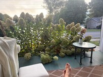 Beautiful morning views