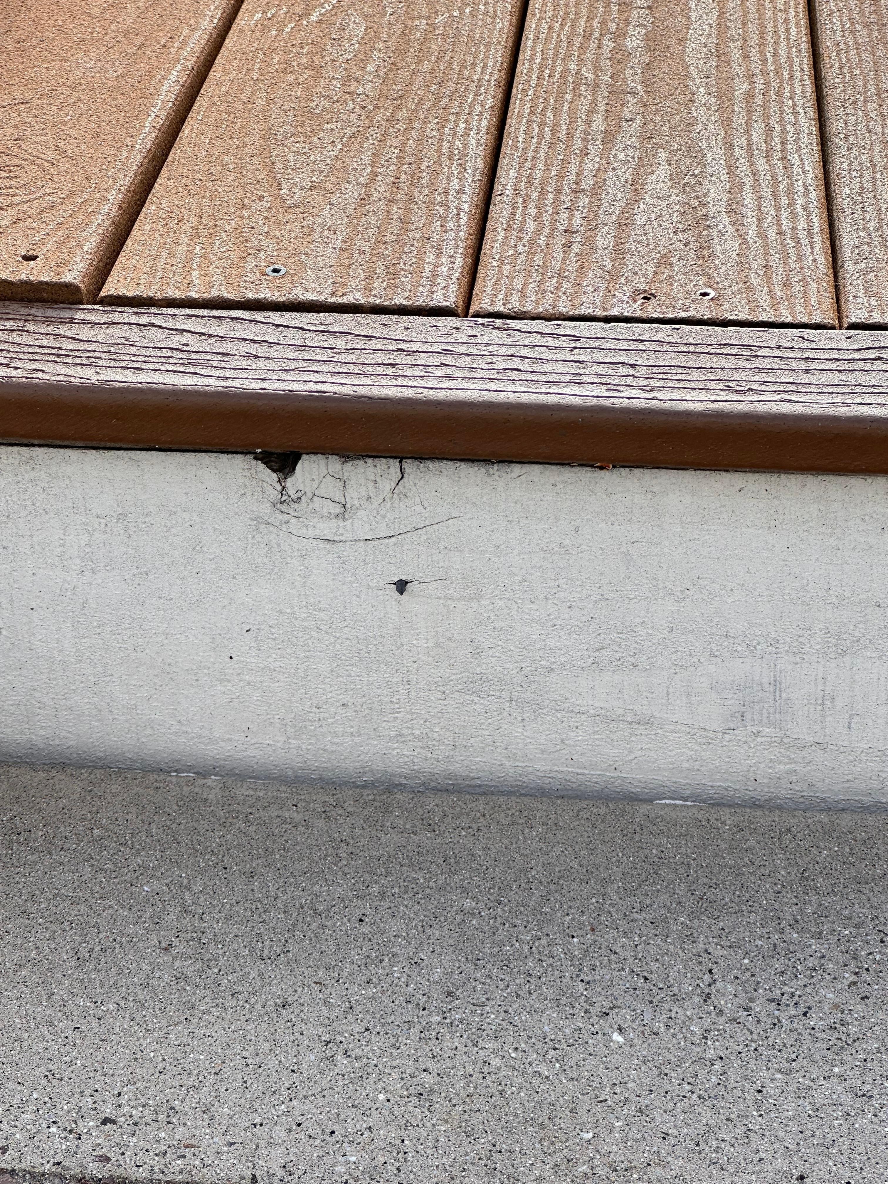 Nail sticking out of stairs 