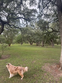 Gabe loved the property