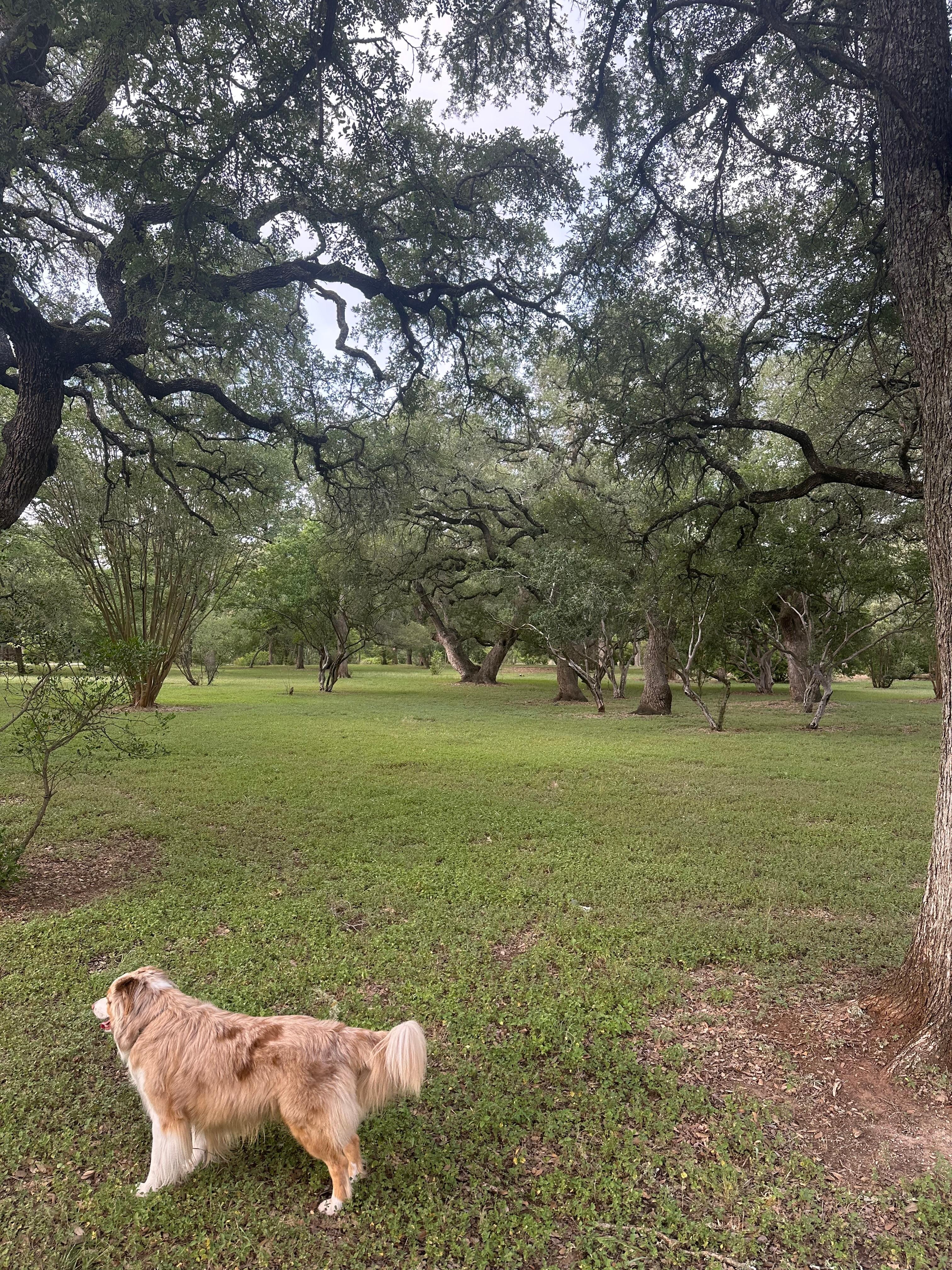 Gabe loved the property