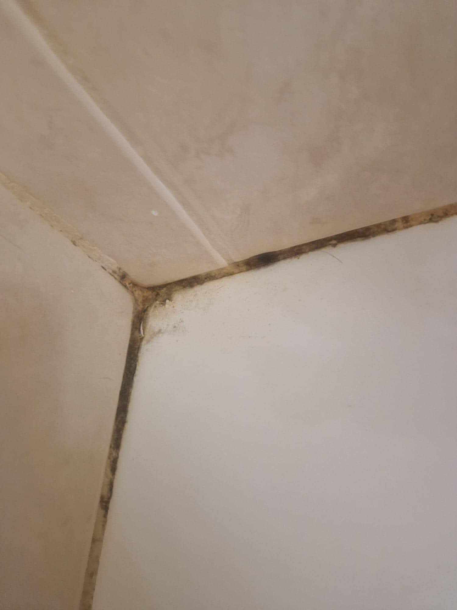 Mould around bath