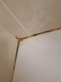 Mould around bath