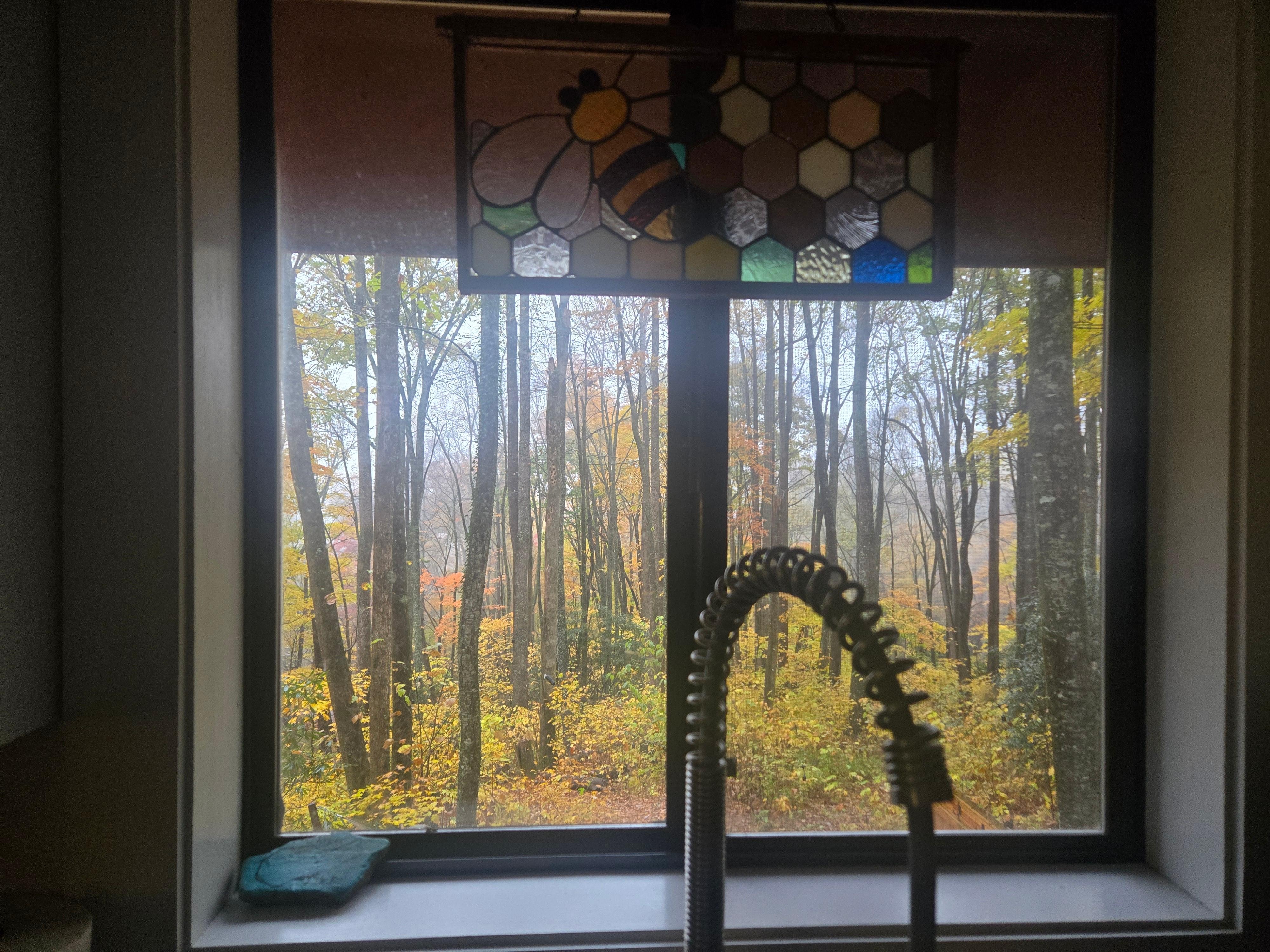 Gorgeous views from every window!