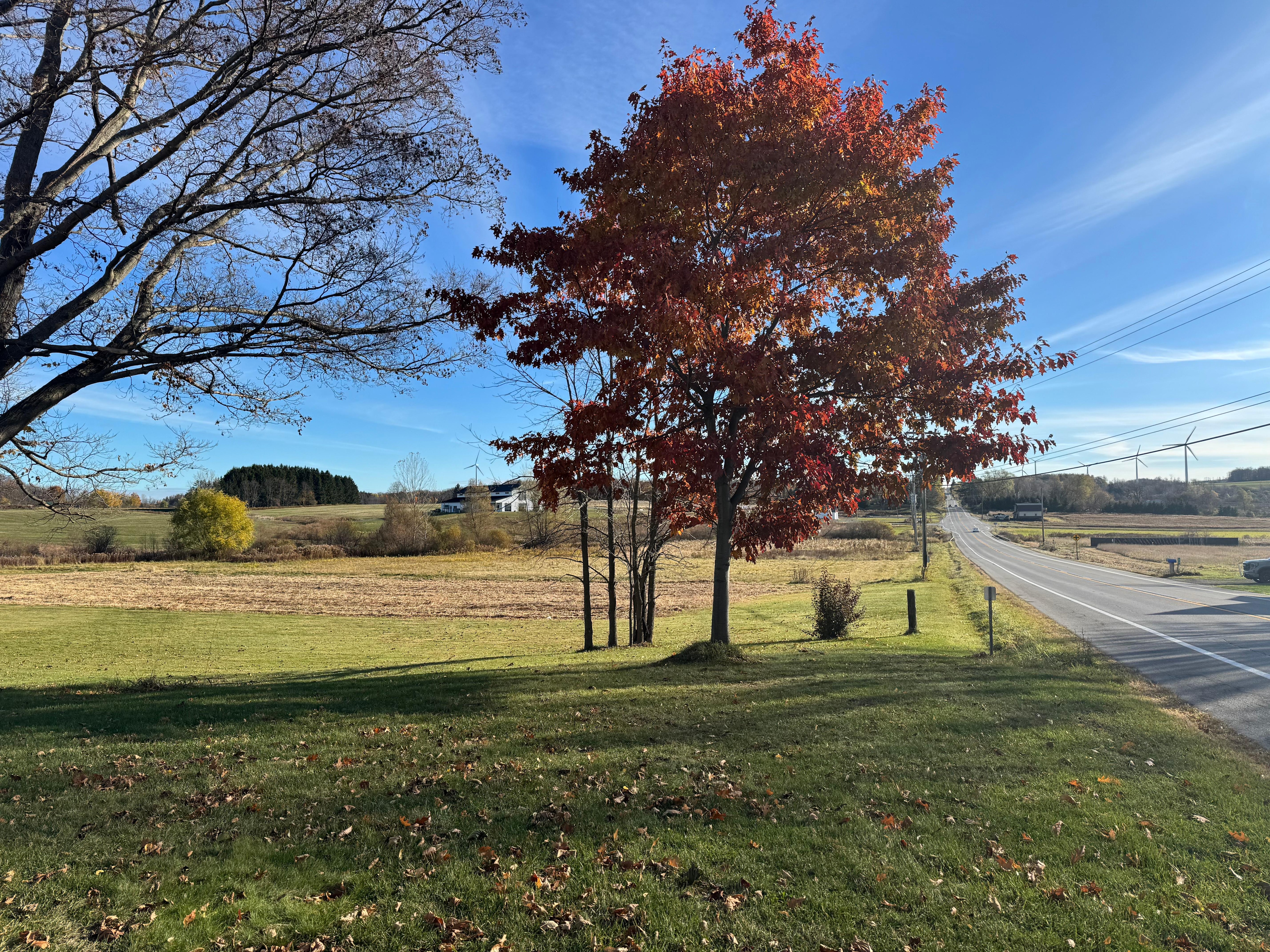 Beautiful property and fall foliage 
