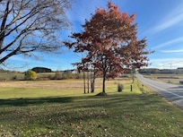 Beautiful property and fall foliage