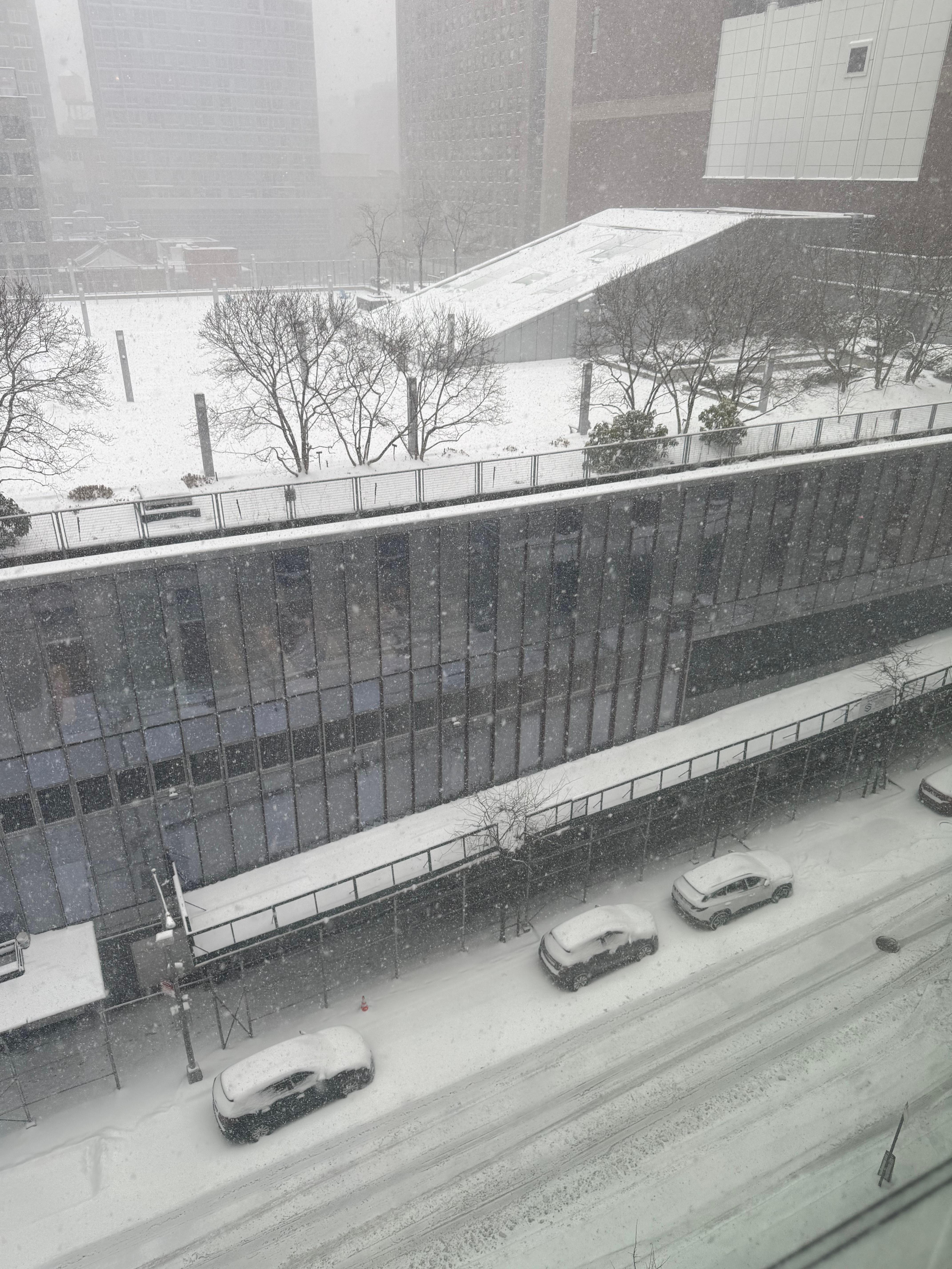 View from my window during snow storm. 