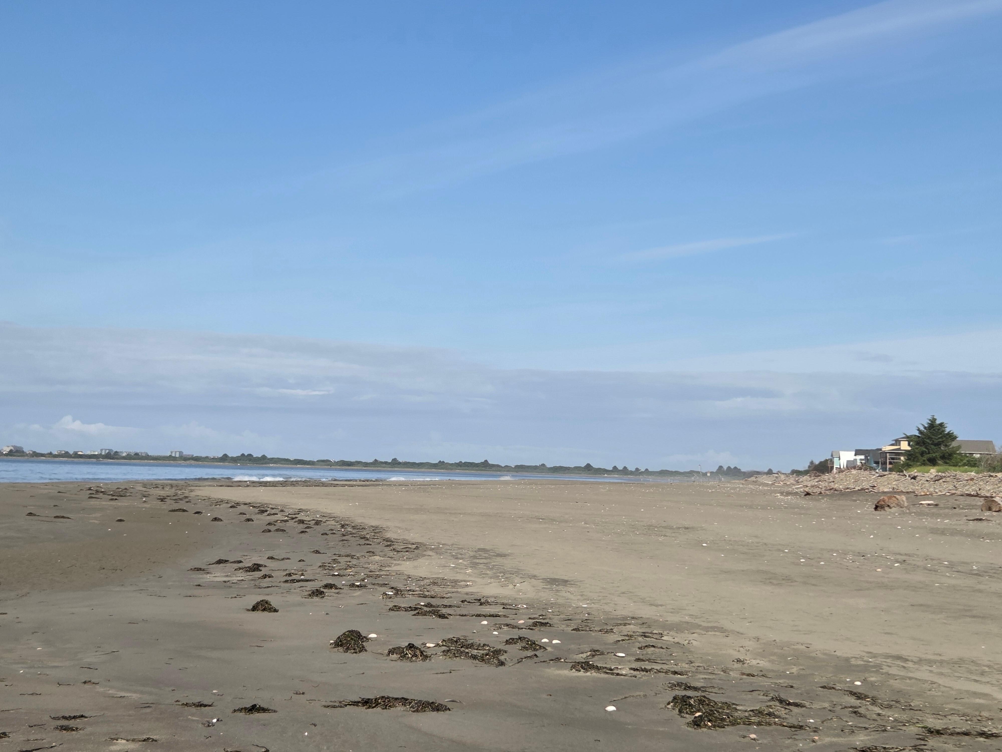 A beach walk