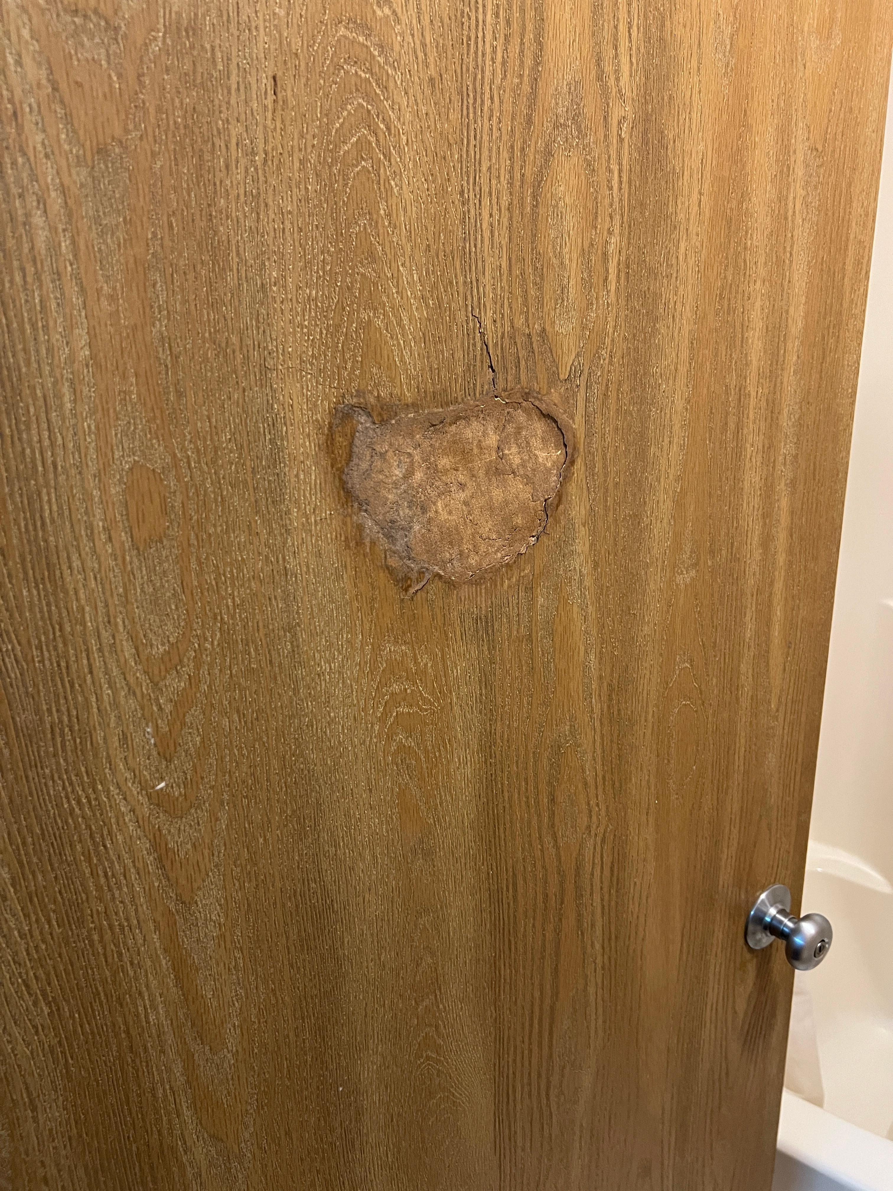 Bathroom door outside