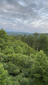 View from back porch