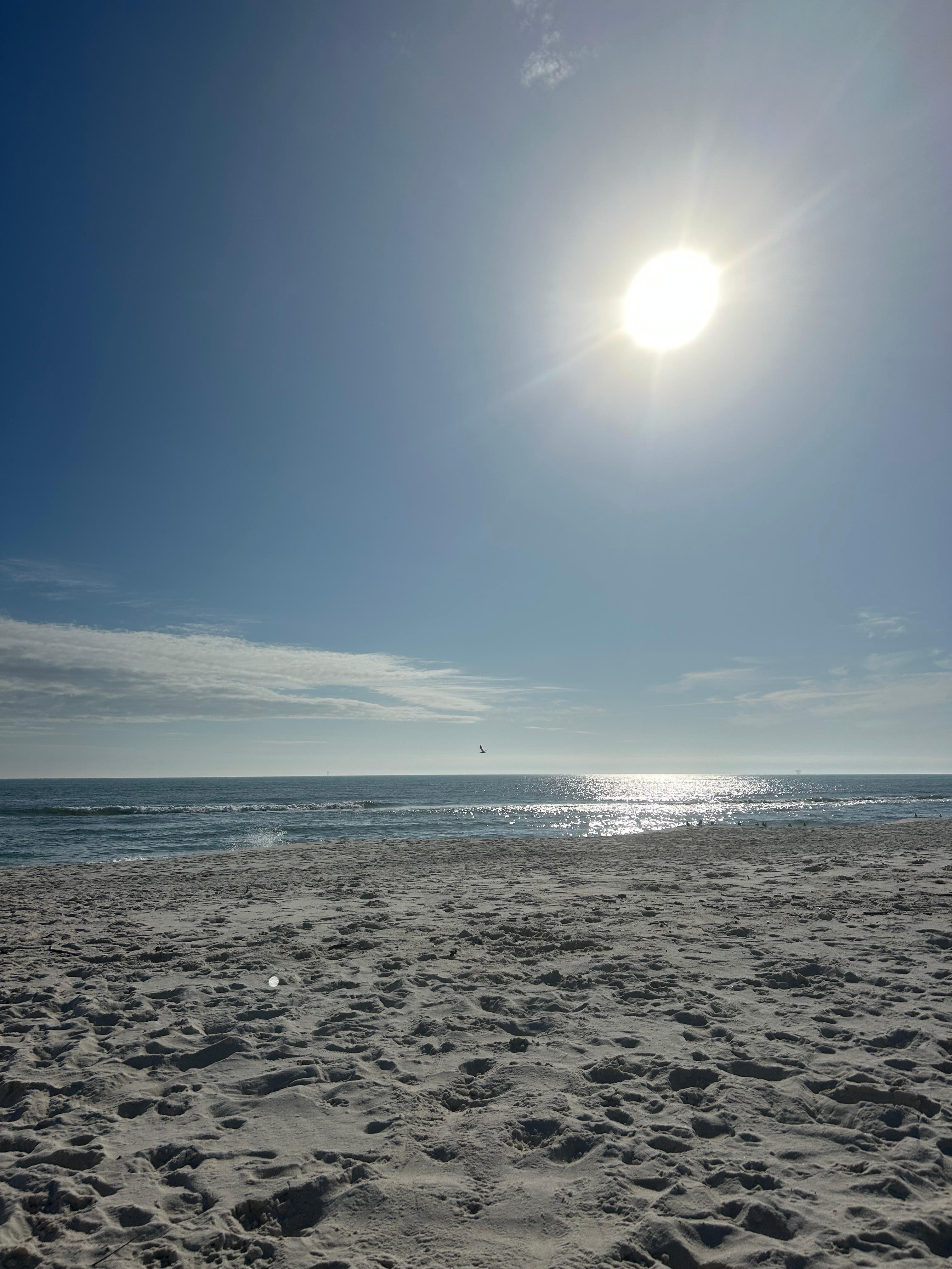 Enjoying the sandy beach!