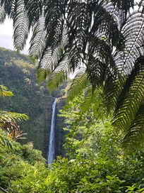 Akaka Falls Near Hilo