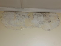 Huge paint chip/water damage and mold in the kitchen