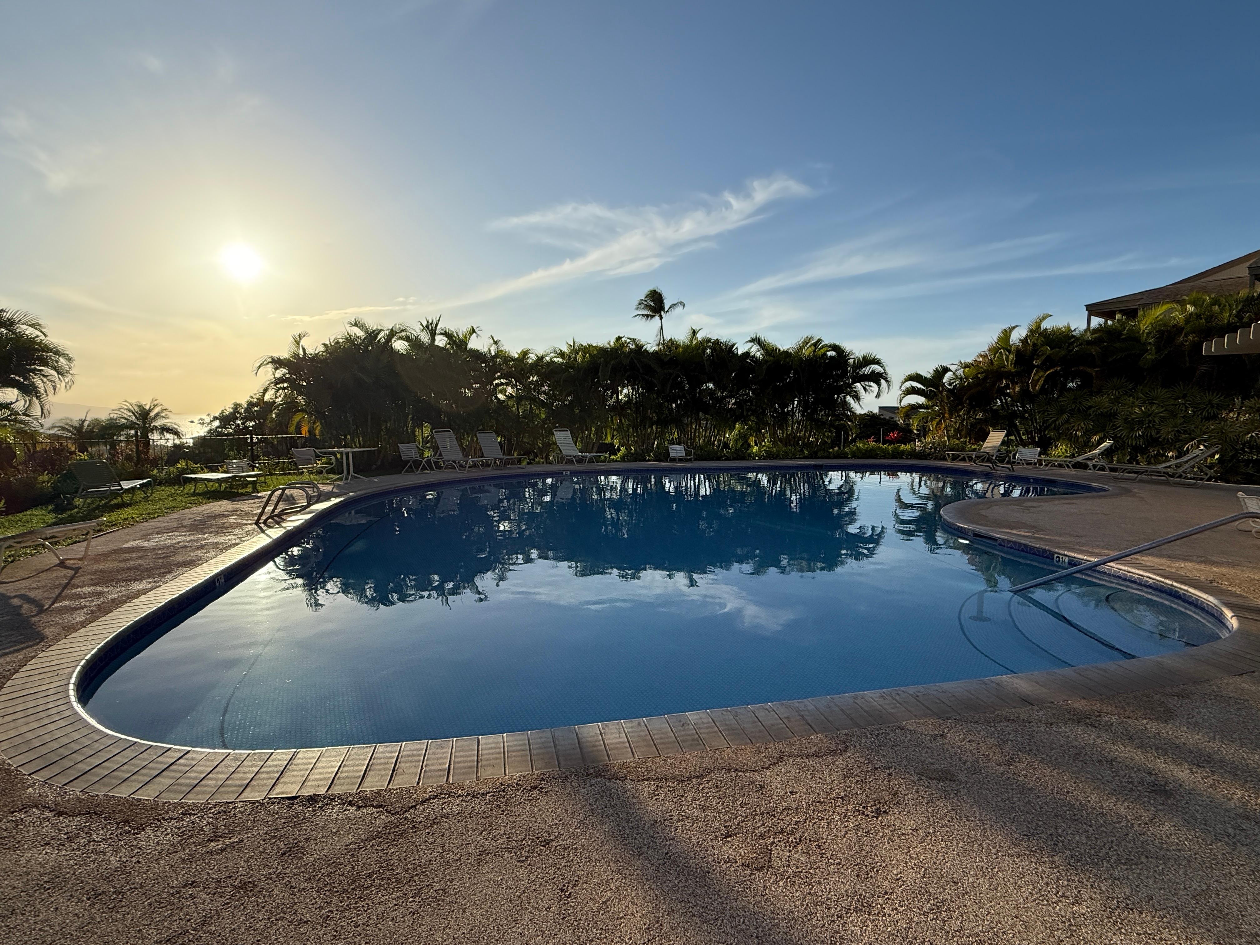Afternoon at the pool