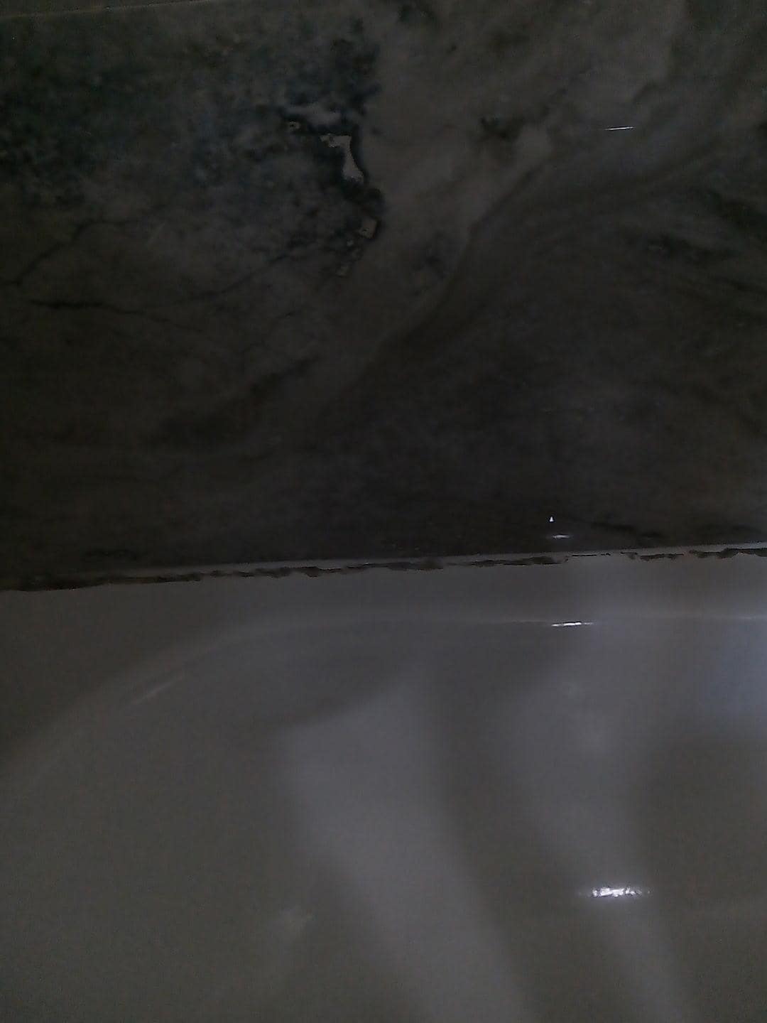 Mold on the batgtub
