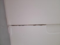 Mold