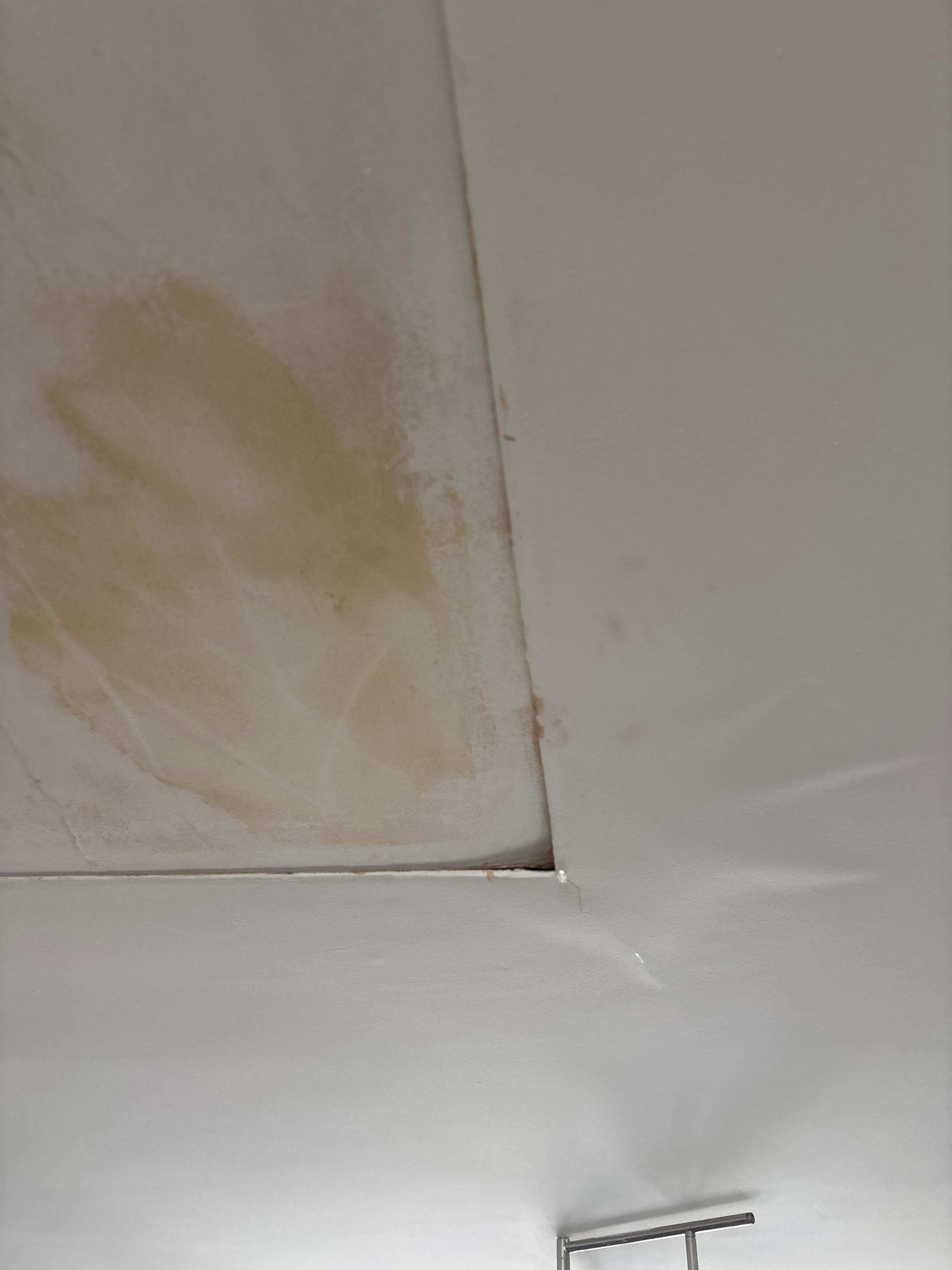 ceiling with water bubble