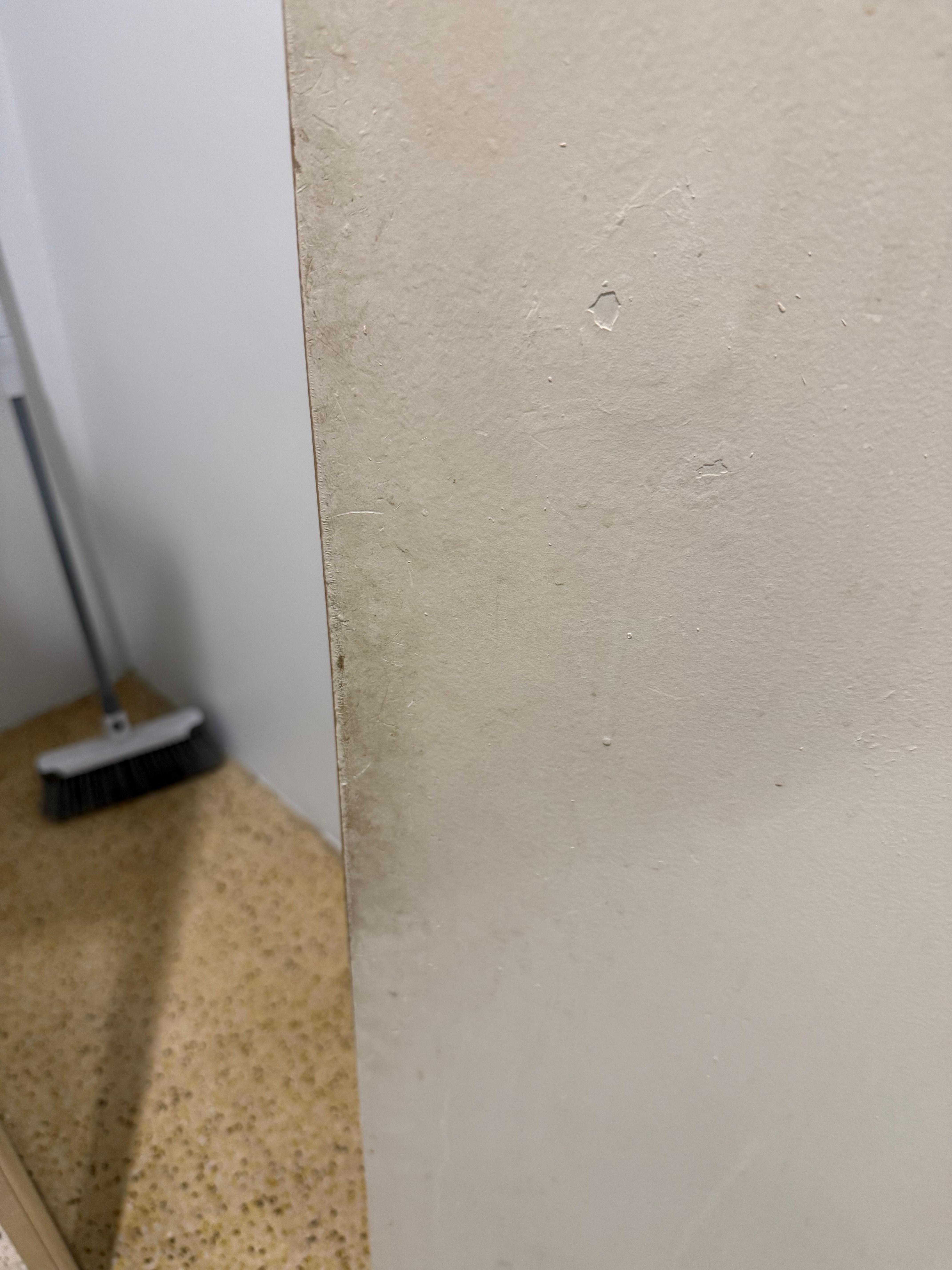 Bathroom door. Requires cleaning & painting. 