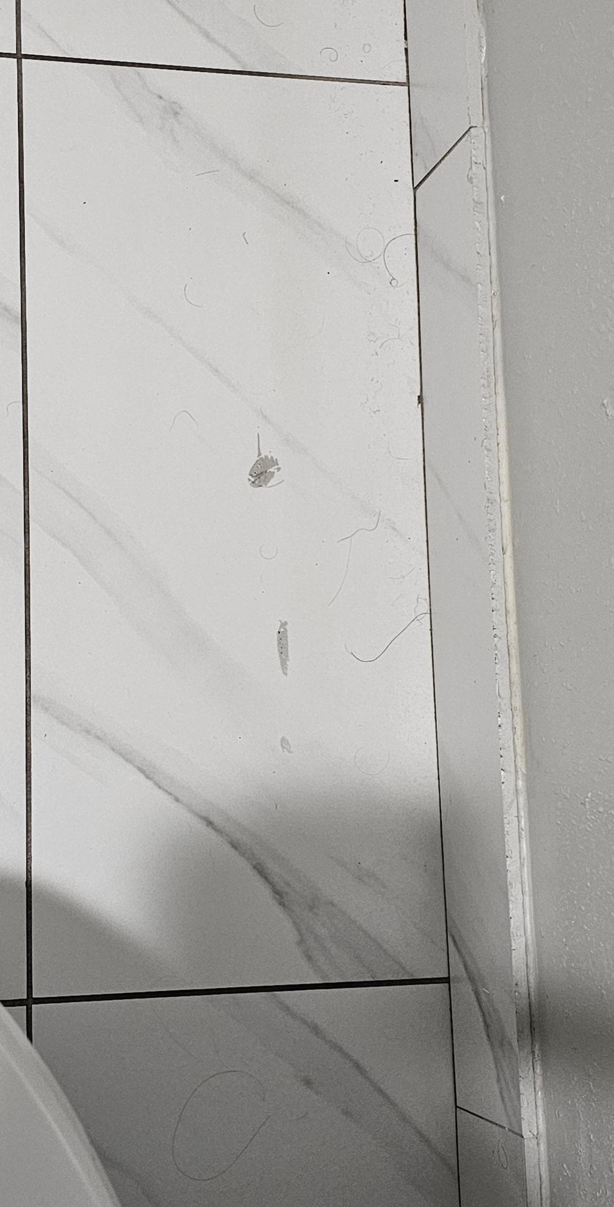Hair behind the bathroom door.