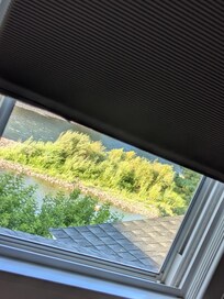 View out the bedroom window of room #4