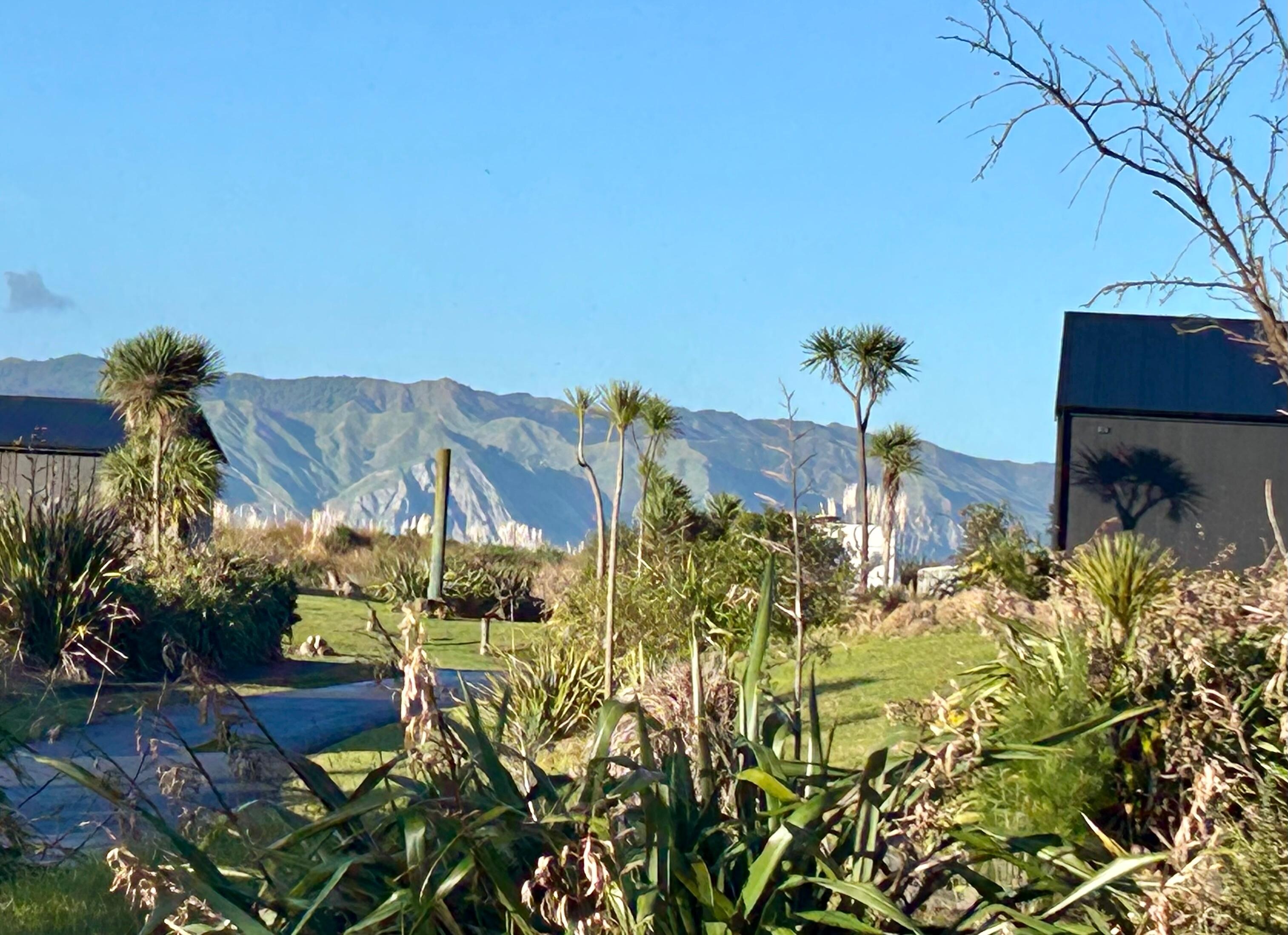 View from the garden of the Bach.
