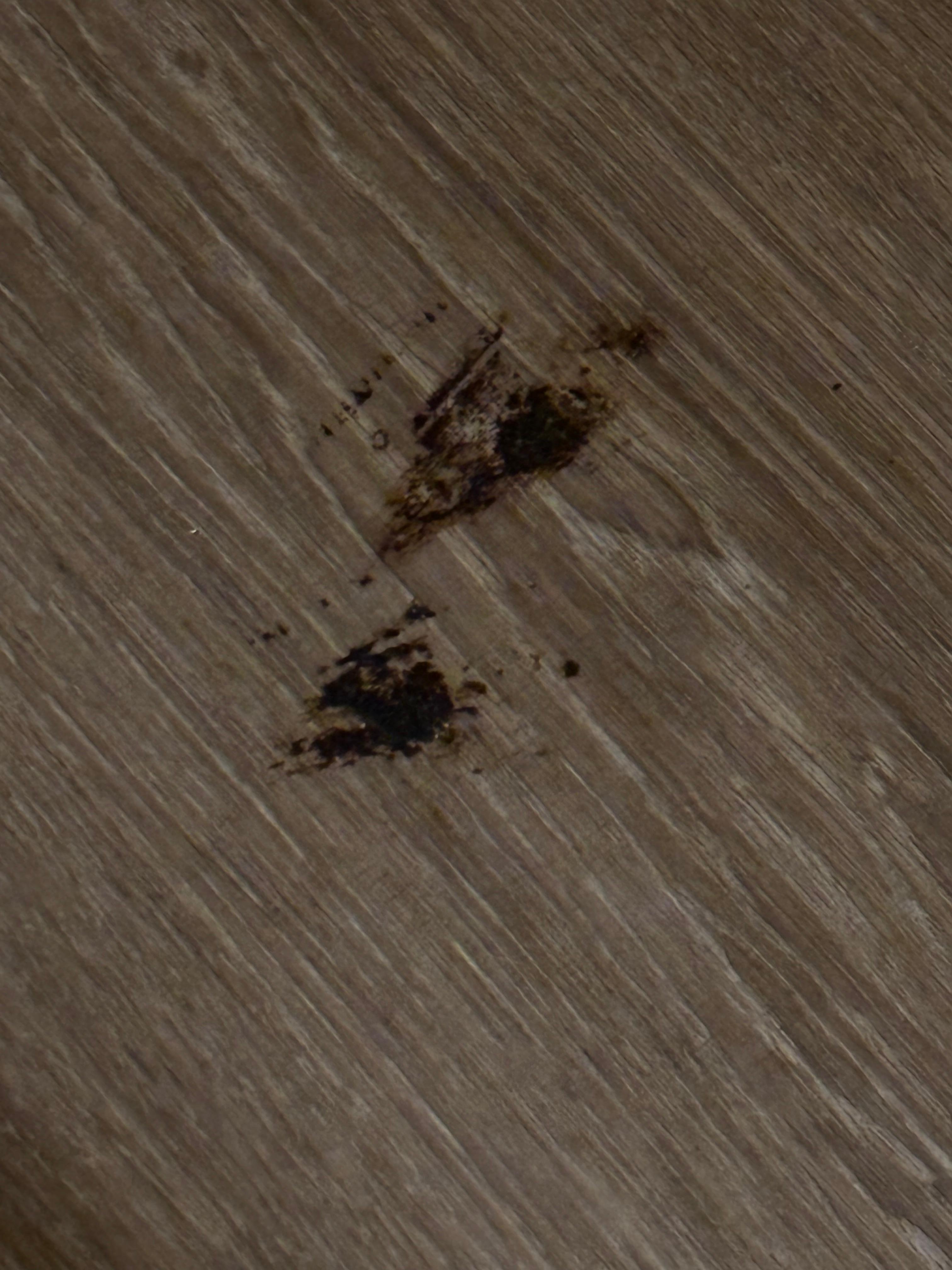 Not sure what this was. Dirt or something else, but was ground into the floor near the window.  