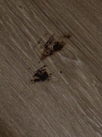 Not sure what this was. Dirt or something else, but was ground into the floor near the window.