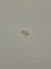 Bloody finger print