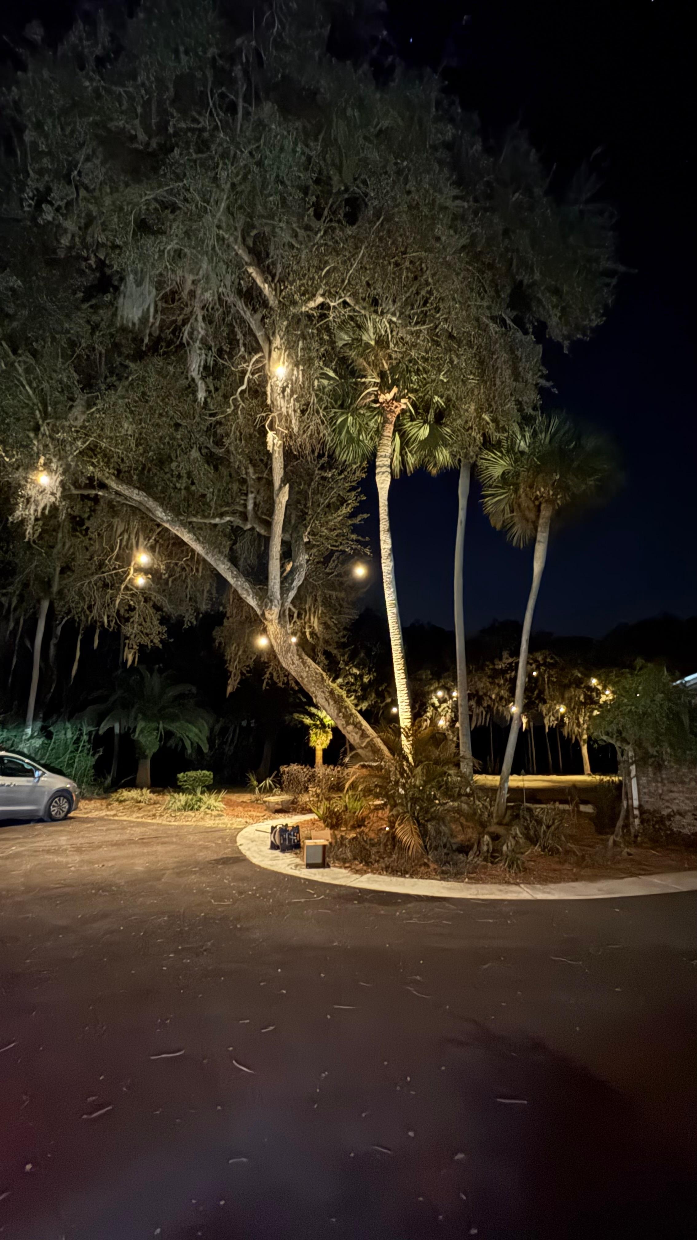 Beautiful outdoor lighting 