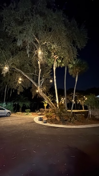 Beautiful outdoor lighting
