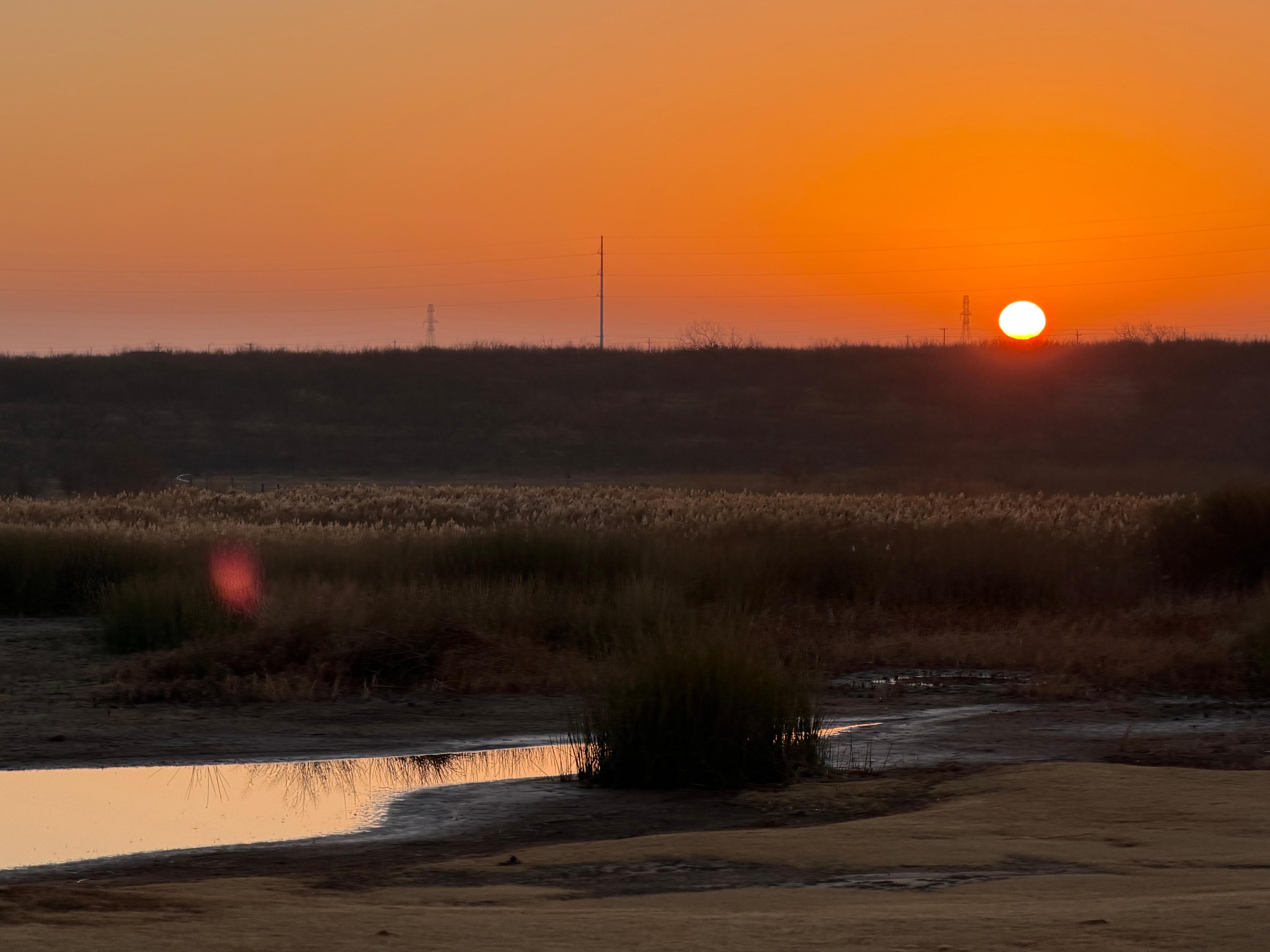 Sunrise from the backyard