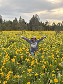 Wildflowers EVEVERYWHERE!