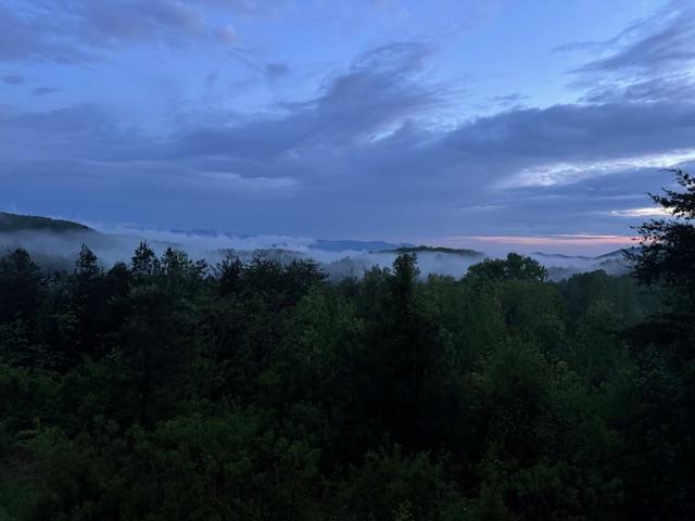 View From Back Porch