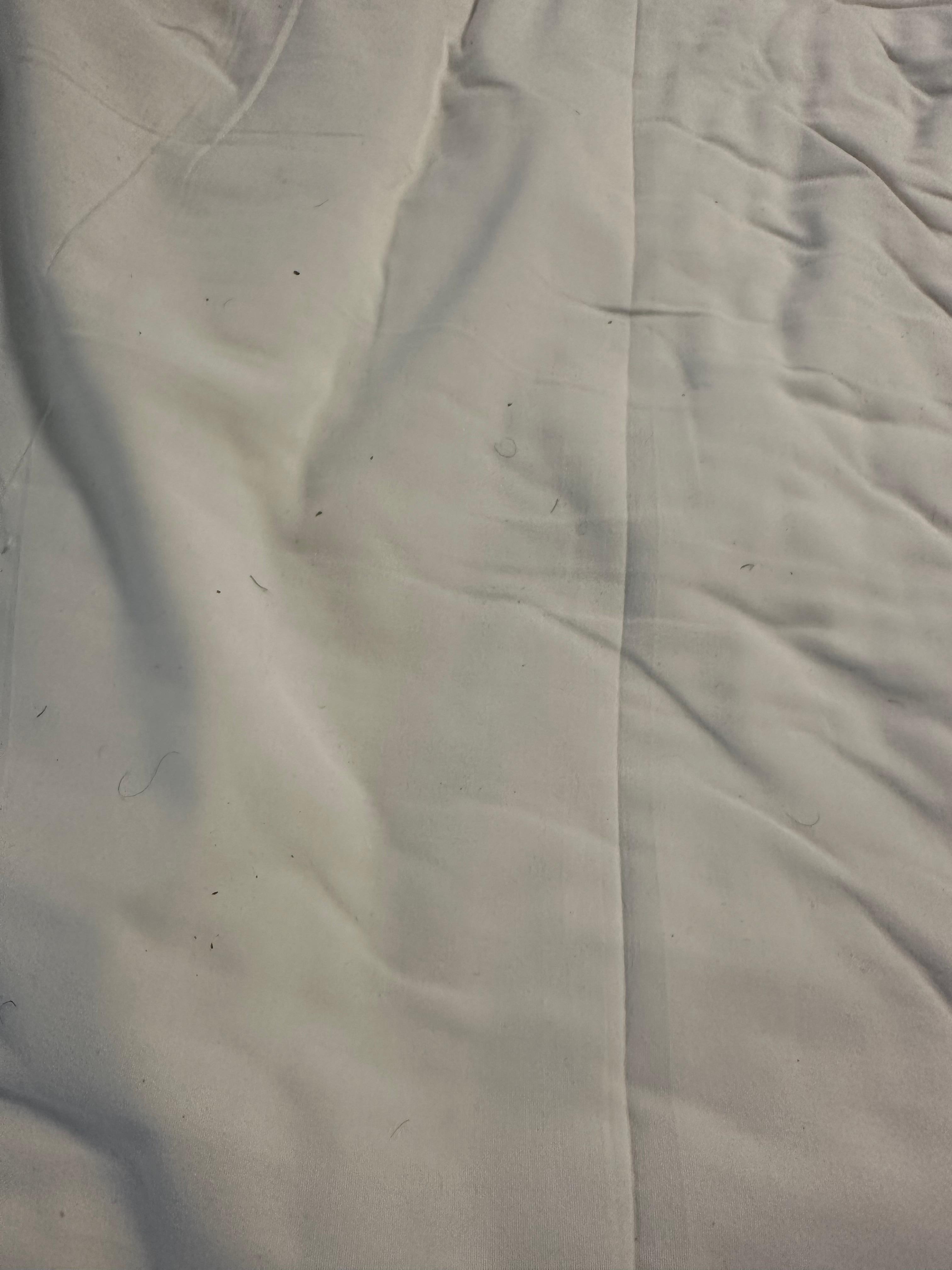 Stains and public hair in bed 