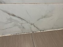 Black mold in shower
