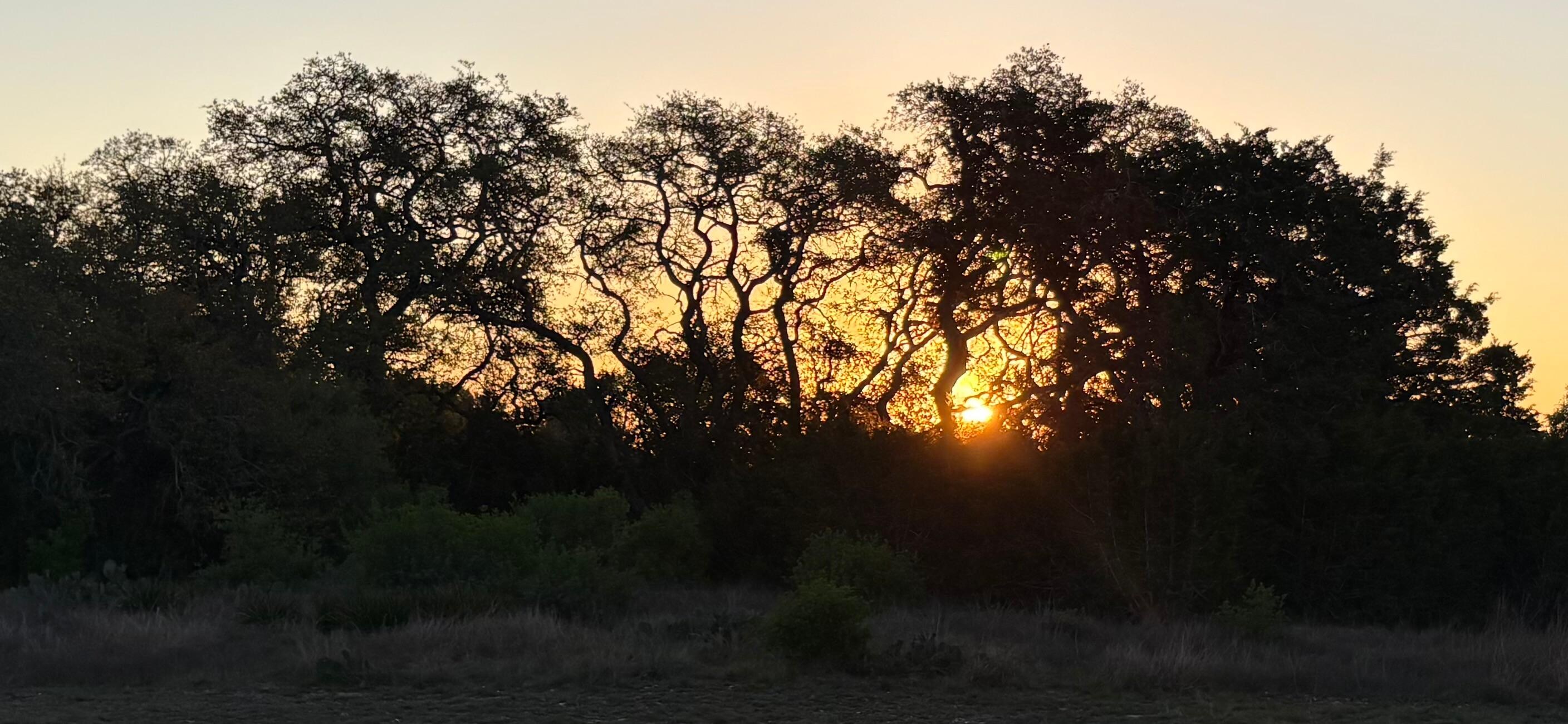 Sitting on the front porch at sunrise!!