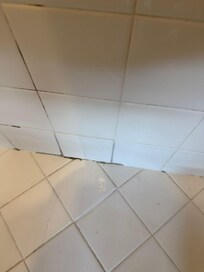 mold in main shower