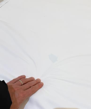 auréole sur drap house du lit 
Il y avait quelques poils et cheveux 