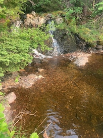 Swimming hole at trailer