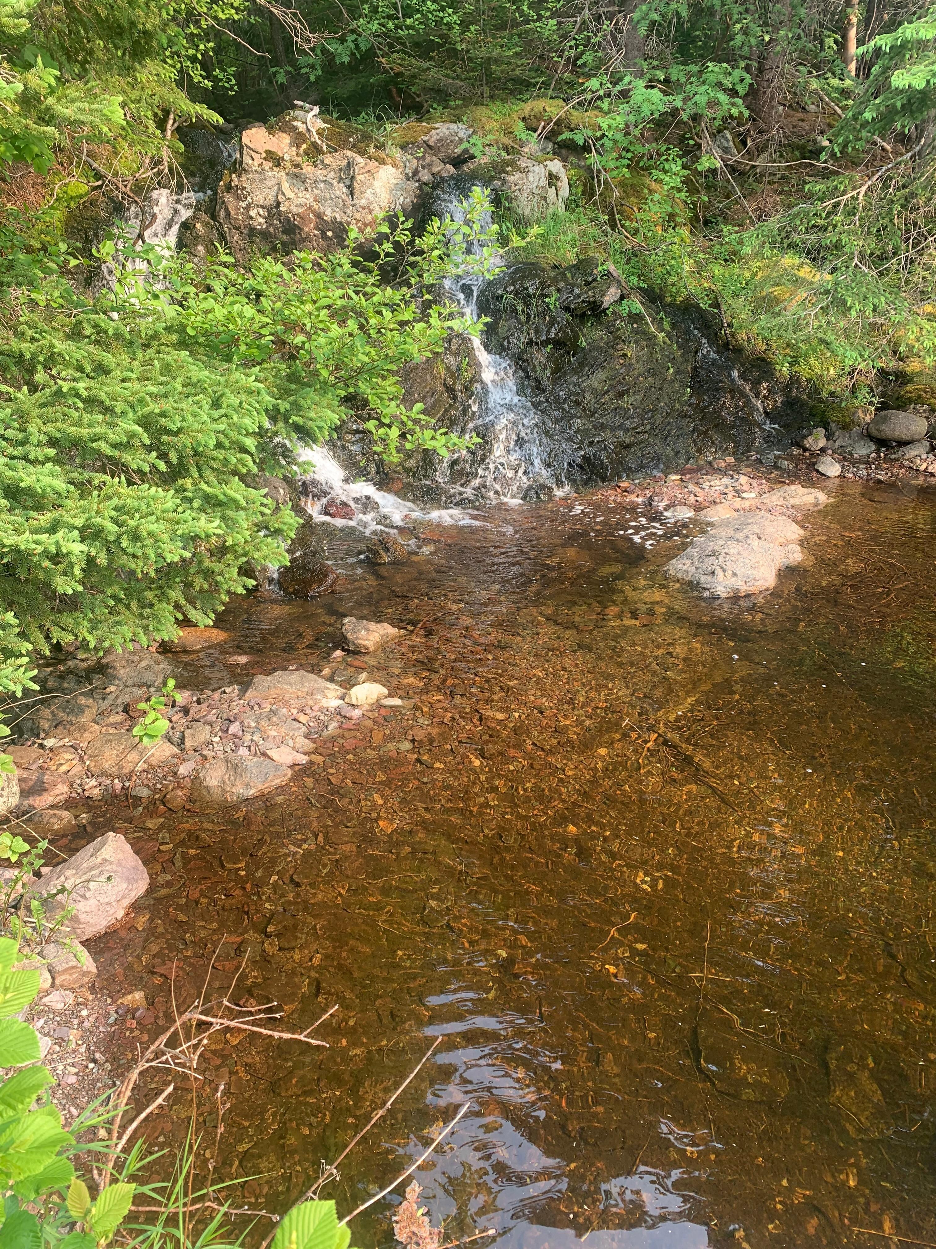 Swimming hole at trailer