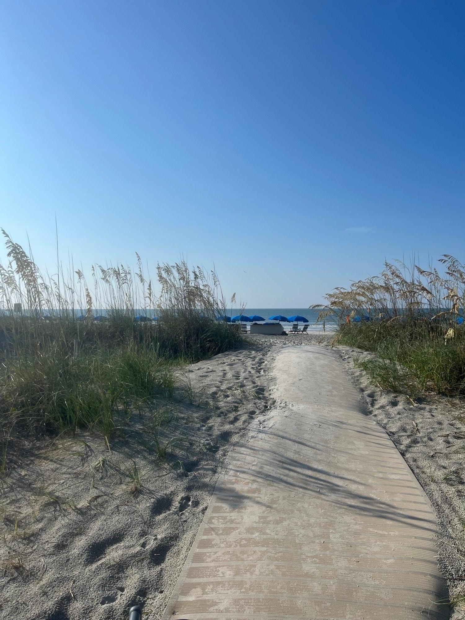 walk path to the beach 