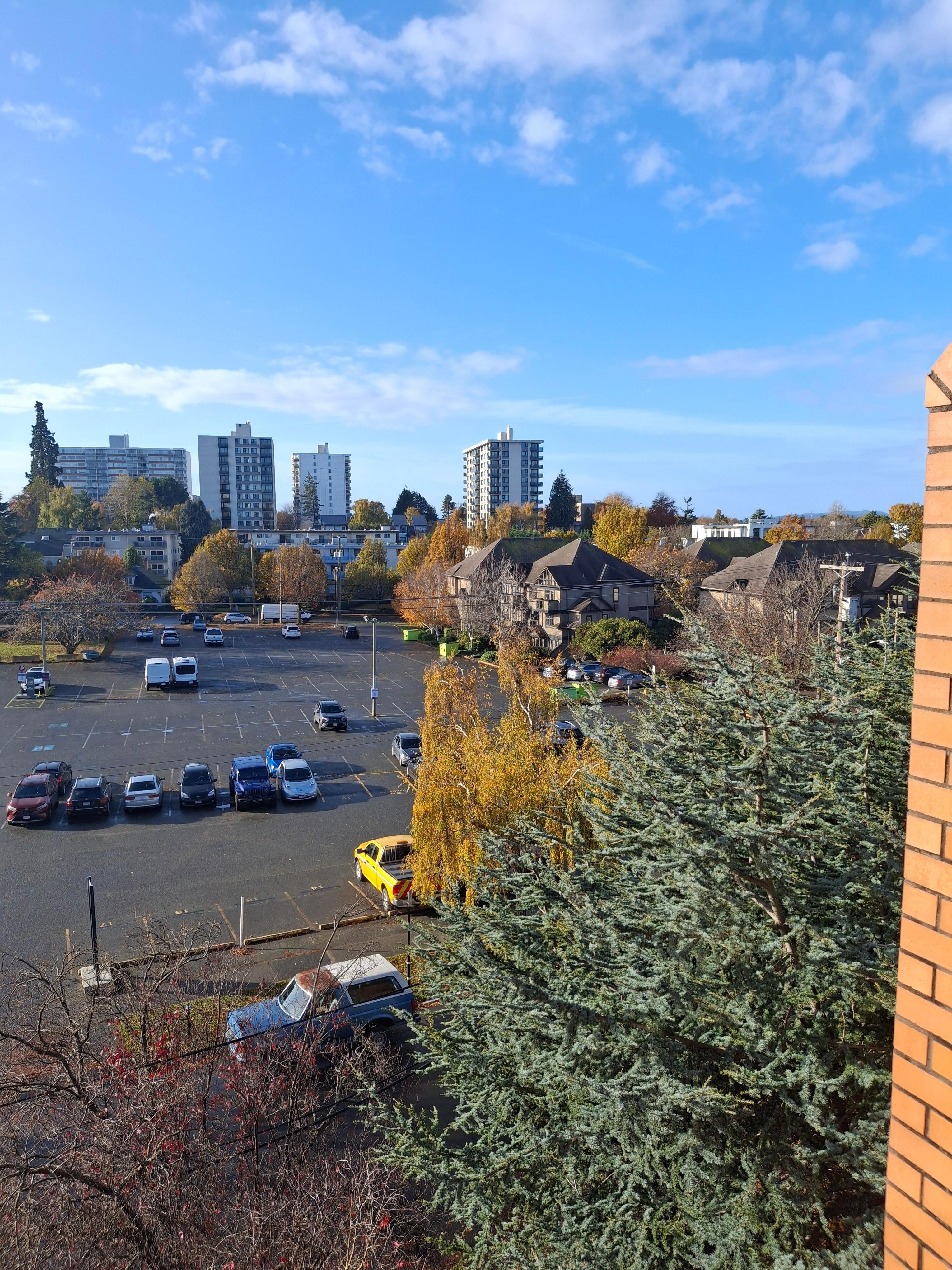 Another view from the patio.