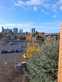 Another view from the patio.