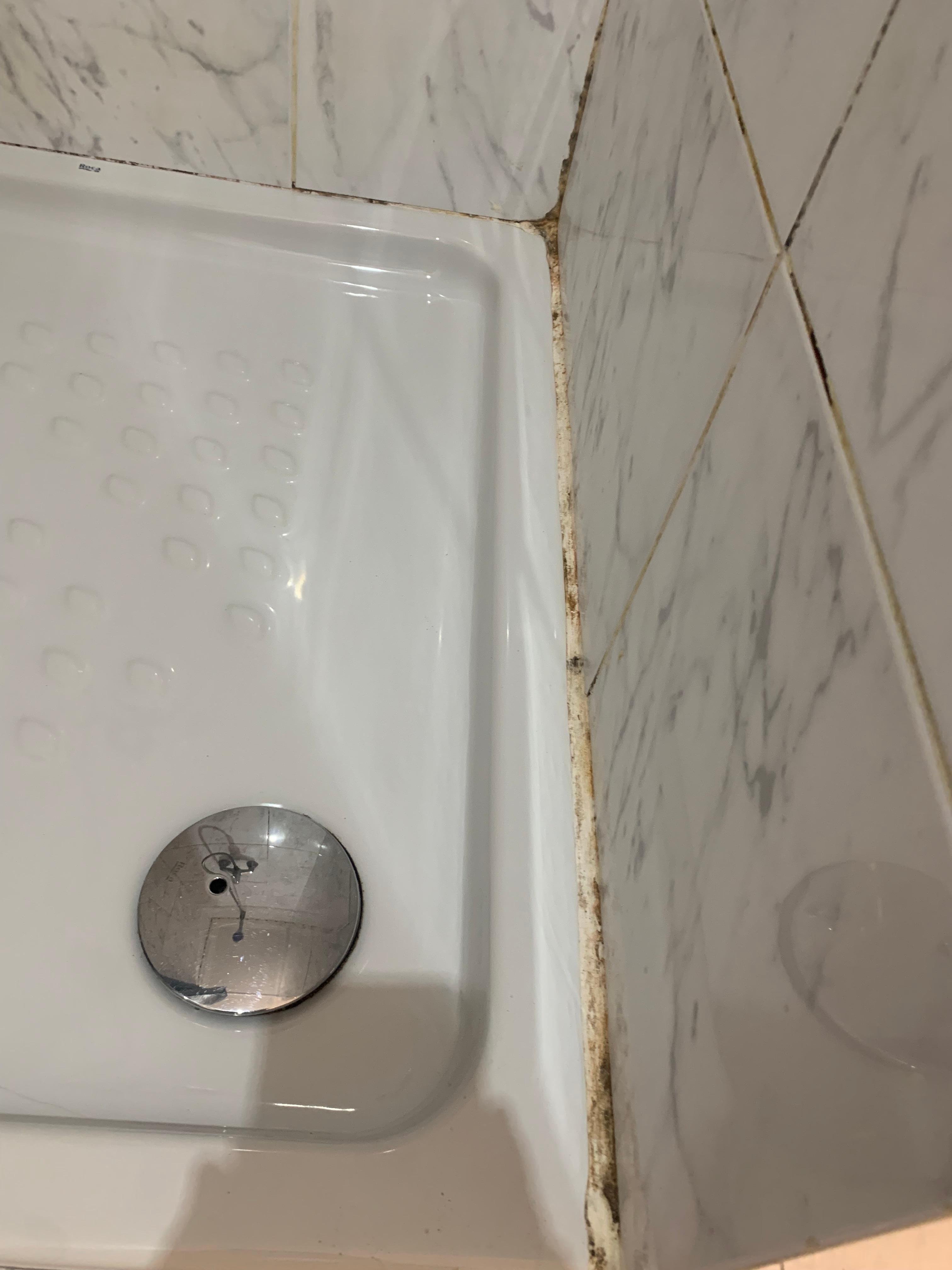 Shower tray with mold 