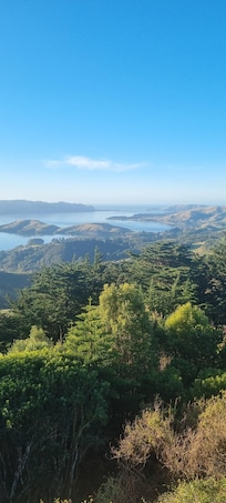 View from accommodation